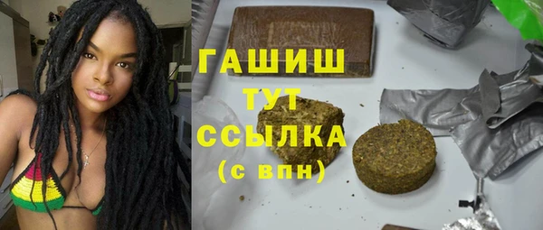 гидра Абаза