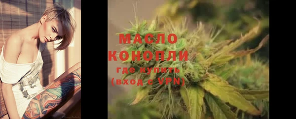 гидра Абаза