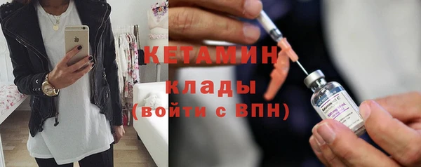 гидра Абаза