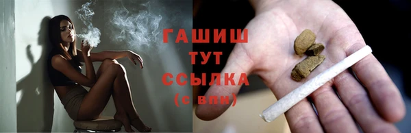 гидра Абаза