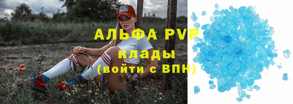 гидра Абаза