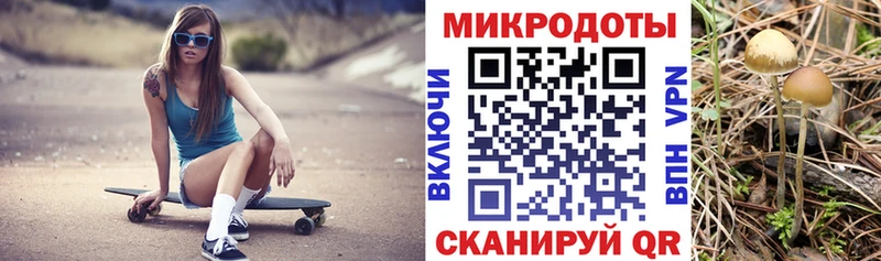 Галлюциногенные грибы Magic Shrooms  Челябинск 